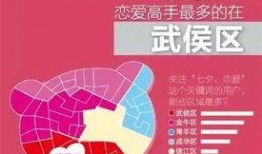 成都新闻爆料人,网友爆料引发热议