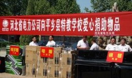 平乡学校事件爆料最新,揭开校园暴力背后的真相与反思